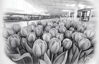 «Verlass dich drauf!"